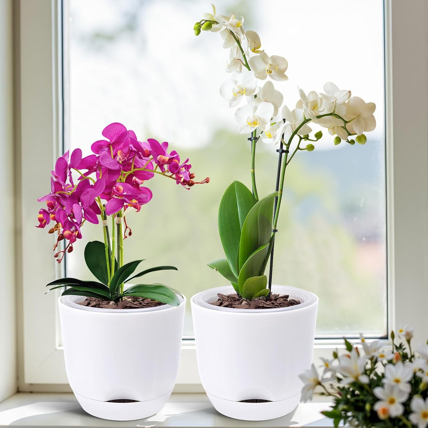 QCQHDU 2 Pack Orchid Pots with Holes for Repotting, Double-Layer and Self Watering Orchid Pot with Good Air Circulation