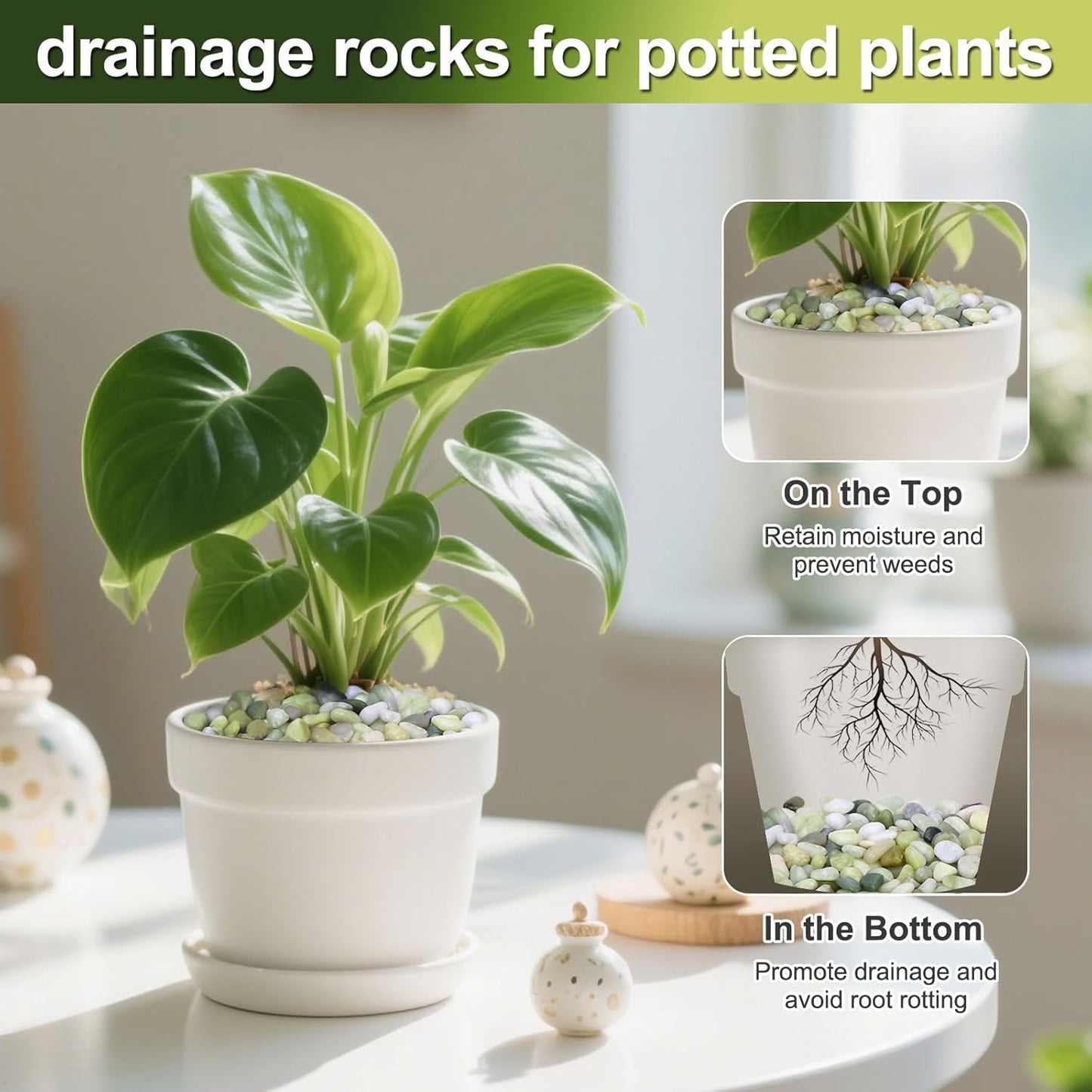 Calofulston 30 lb Decorative Pebbles for Indoor Plants, 3/8 Inch Pebbles for Succulents, Lucky Bamboo Plants, Vase, Cactus, Landscaping, Polished Jade Rocks for Plants Indoor, Green