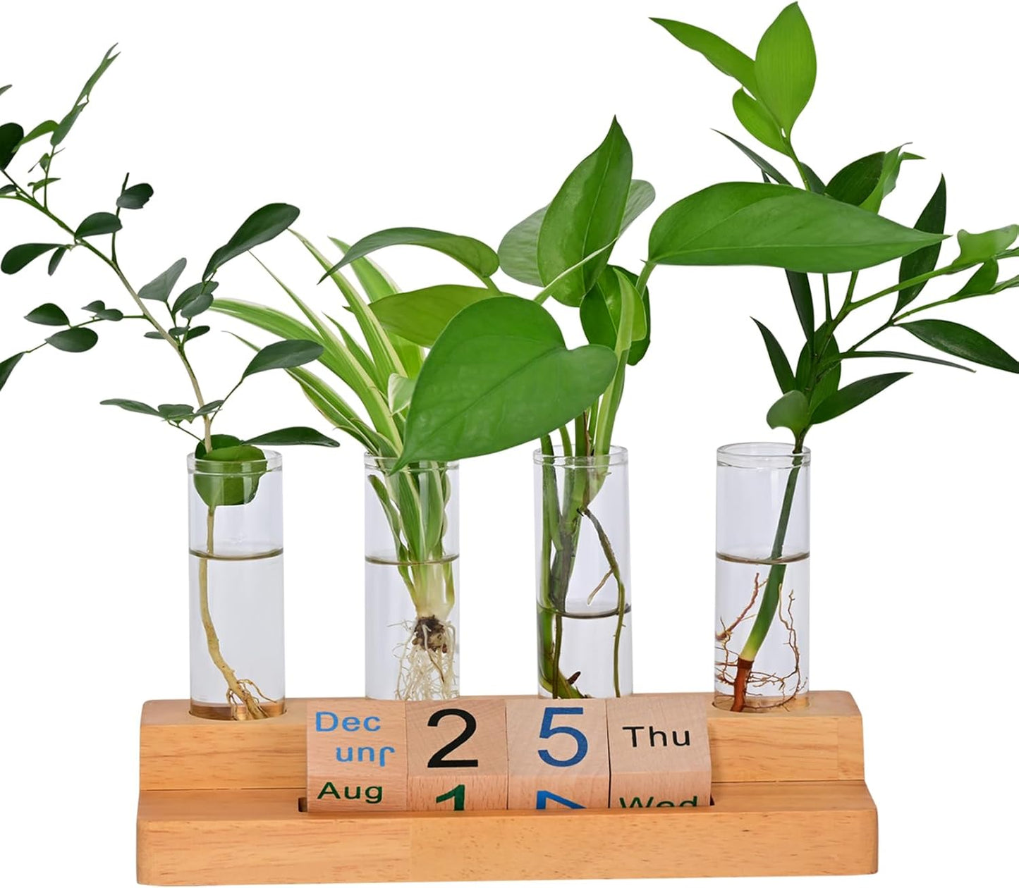 Propagation Vases for Plants, with Block Calendar for Desk, for Home and Desk Decor, Perfect Gardening Gifts for Women, Mom, Teacher, Horticulturist (Dark Wood Color)