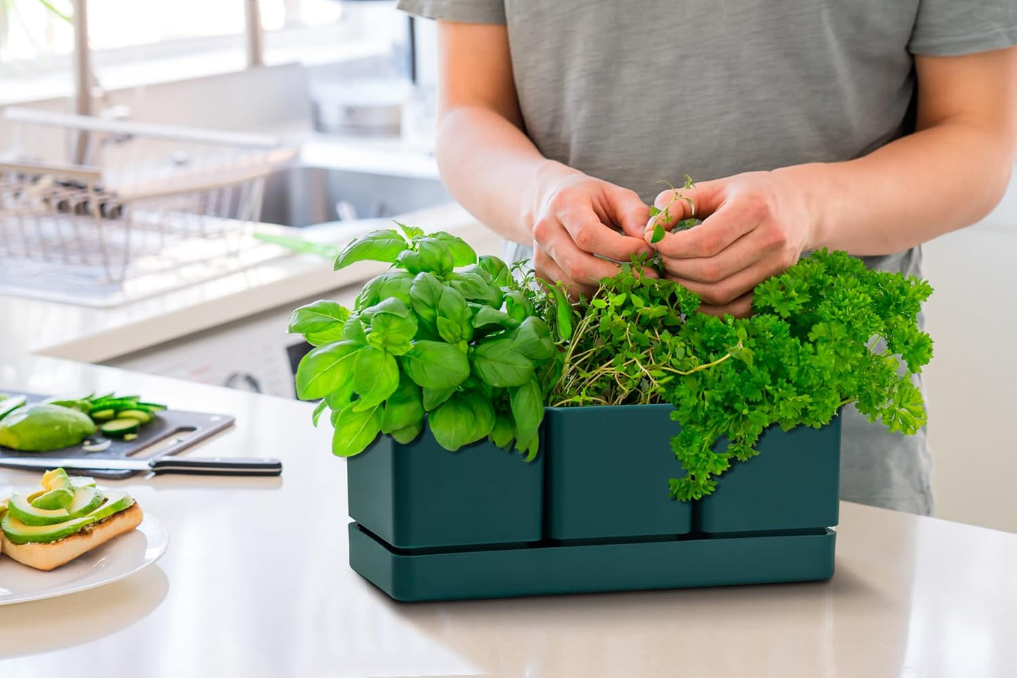 D'vine Dev Herb Garden Planter Set, Plastic Plant Pots with Drainage and Saucer, Indoor Succulent Cactus Vegetable Pot for Windowsill, Garden Balcony, Green, Set of 2, 76-V-C-2