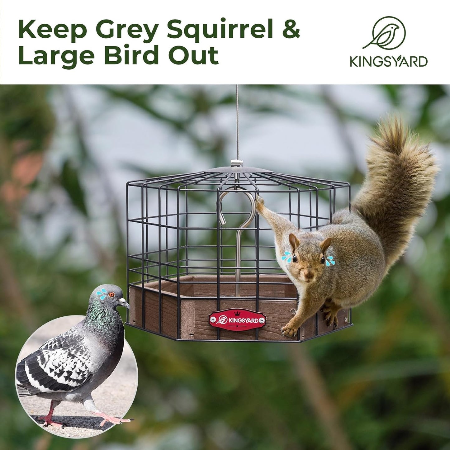 Kingsyard Squirrel Proof Platform Bird Feeders for Outdoor Hanging, Caged Bird Feeder for Small Wildbirds Finches, Recycled Plastic Feeding Platform with Metal Seed Tray, Brown