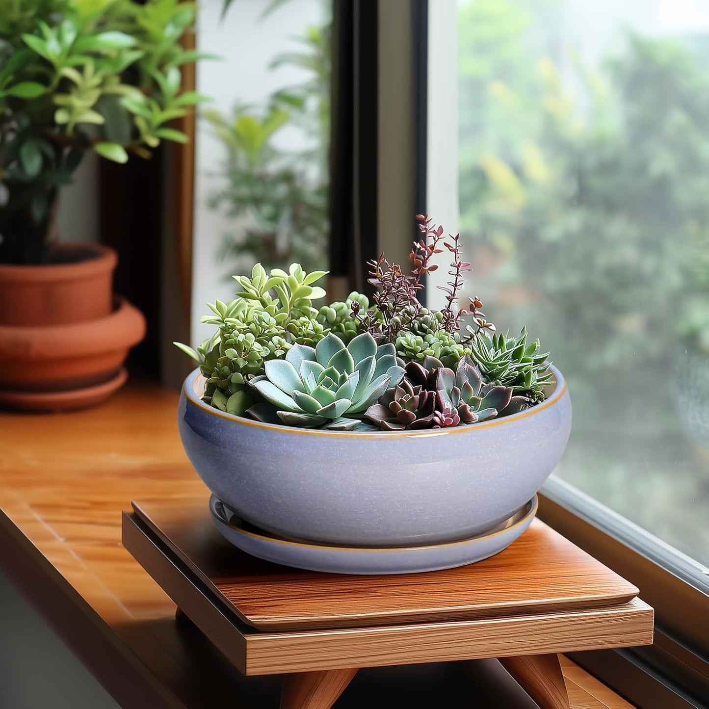 SQOWL Succulent Planters - 8 Inch Ceramic Bonsai Pots with Drainage Hole and Plant Saucer, Shallow Round Planter for Indoor Plants Flower, Bowl Planter Outdoor, Office Decor, House Warming Gift, Blue