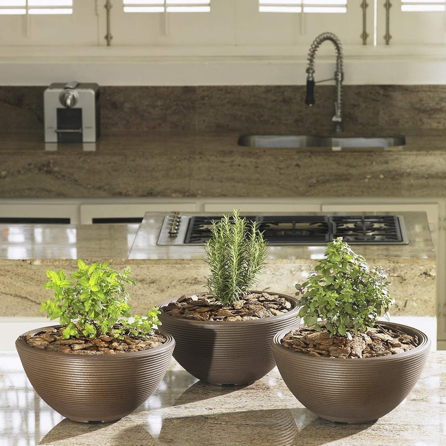 Crescent Garden Delano Bowl Planter, Indoor Outdoor Round Shallow Plant Pot for Water Garden, Bonsai Plant Pots, Succulents with Drain Hole - Double Walled Bowl Lotus Pot, 16" W (Caviar Black)