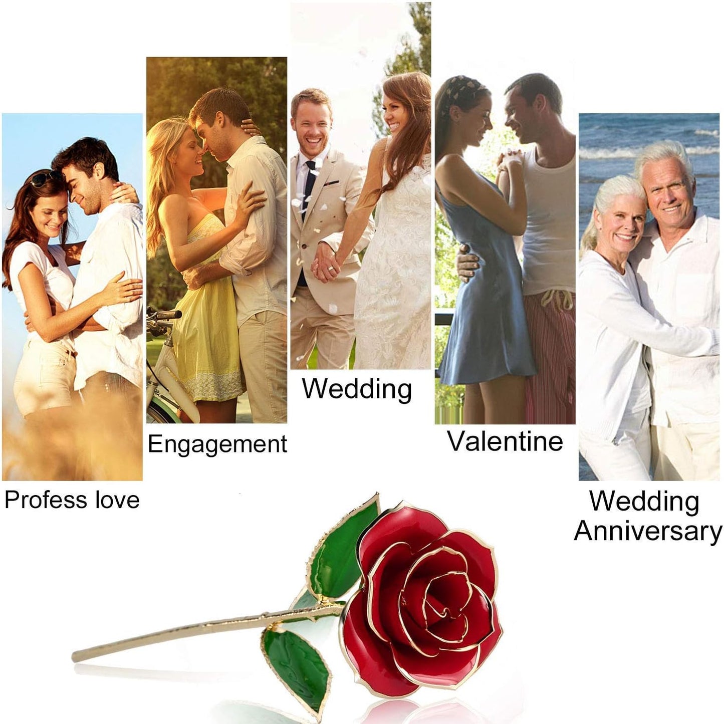 Suturun Gold Dipped Rose,24K Gold Rose with Transparent Stand,Real Long Stem Eternity Rose Flower Best for Her,Mom,Wife,Girlfriend,Anniversary,Mothers Day,Birthday,Valentine's,Wedding