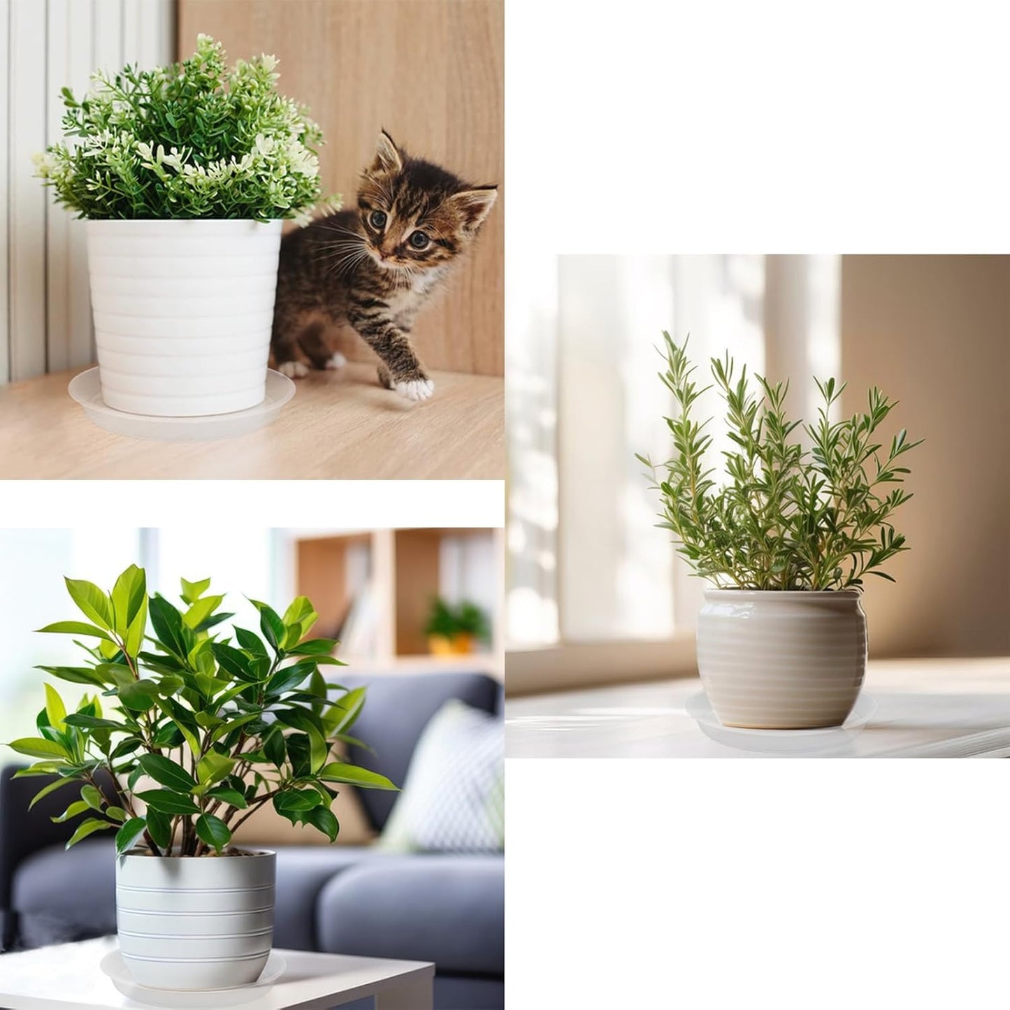 TITE 3 Pack Plant Saucer Heavy Large Planter Durable Thicker Plastic Plant Trays for Indoors and Outdoor,Plant Saucer Drip Trays (Transparent, 16 inch)