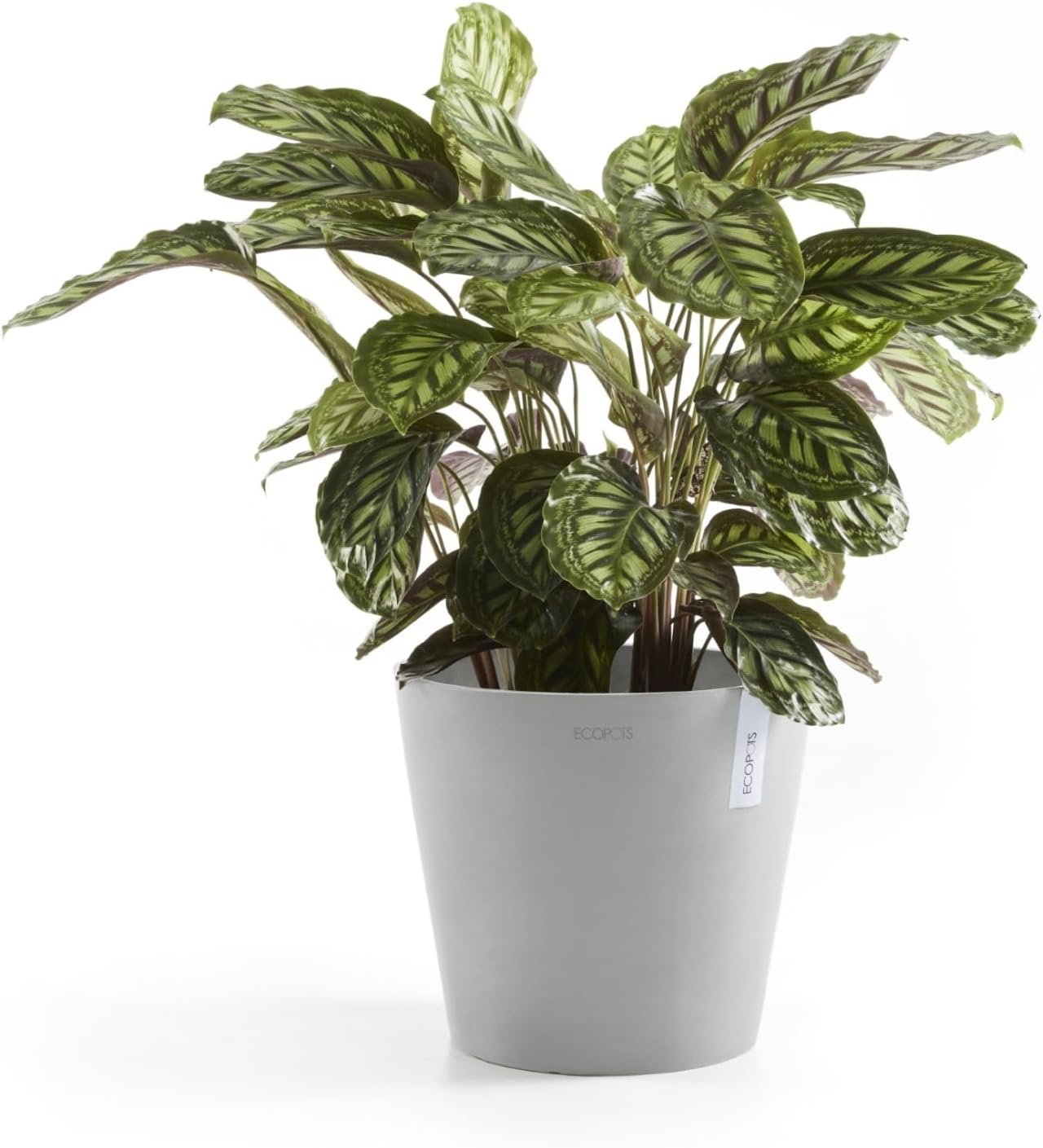 Ecopots Amsterdam Durable Modern Round Indoor/Outdoor Recycled-Based Composite Flower Pot Planter, White Grey, 12"