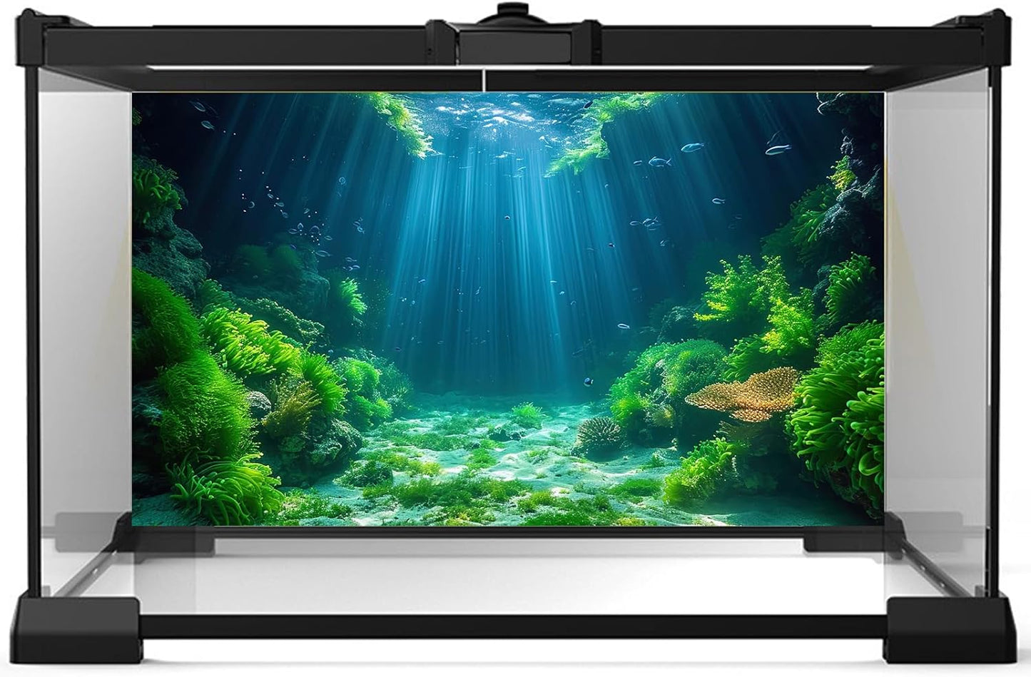 Aquarium Background Aquatic Plants Soft Algae Terrarium Backdrop Underwater World Fish Rock with Moss Sunlight Rays Fish Tank Background Aquarium Wallpaper Poster Decor Vinyl 72x16in