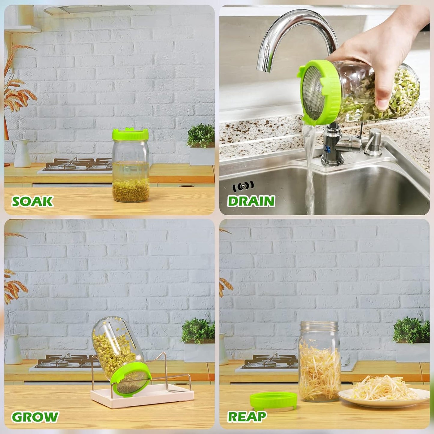 Seed Sprouting Kit, 2 Large Wide Mouth Mason Jars with Sprout Lids, Blackout Sleeves, Drain Tray, Stainless Steel Stand, Sprouts Growing Kit for Bean, Broccoli, Alfalfa (Yellow+Green)