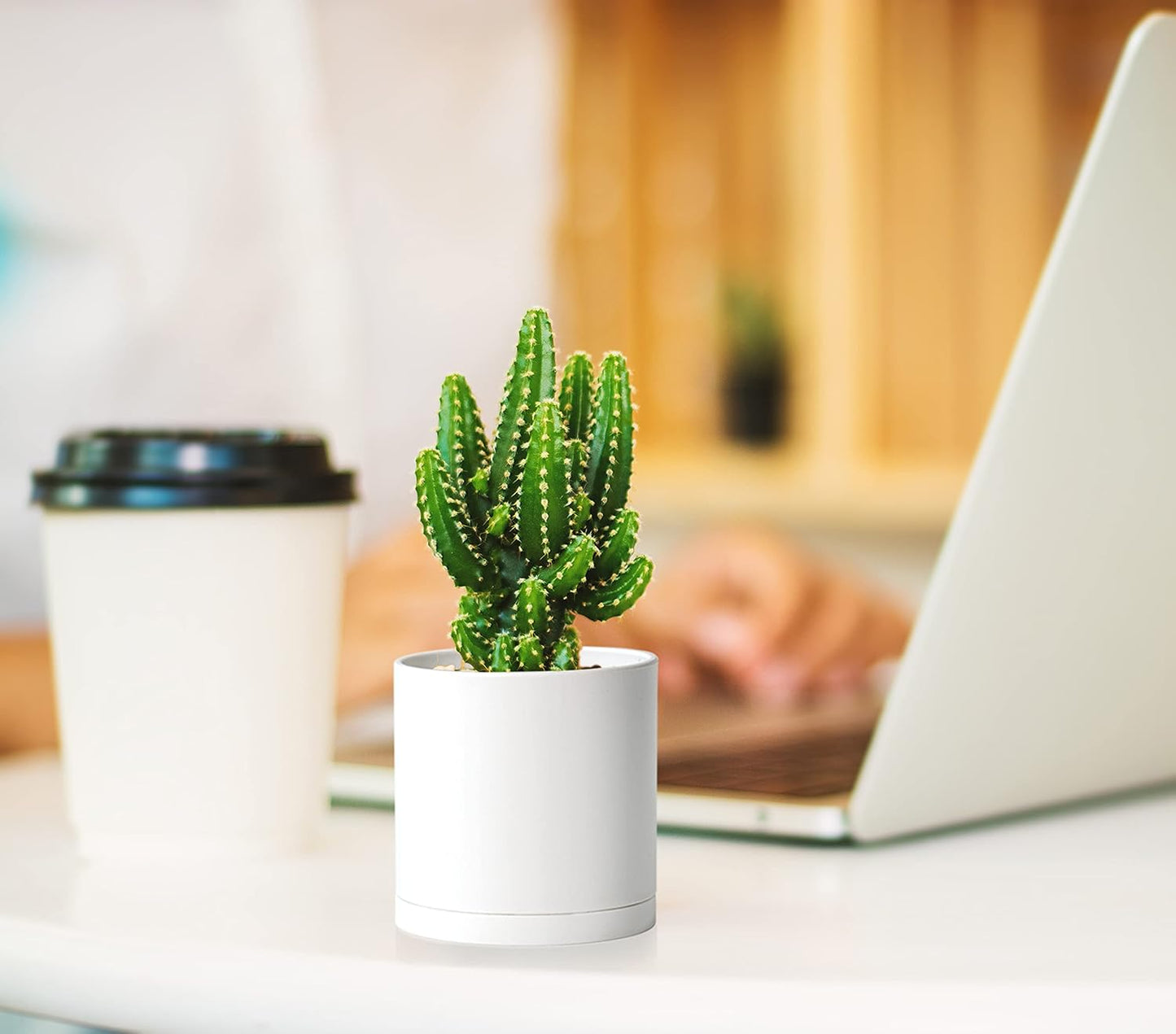 D'vine Dev 12 Pack 3 Inch Mini Plastic Plant Pots, Small Garden Planters for Plant with Drainage Holes and Saucers, White Color, 74-Z-C-4