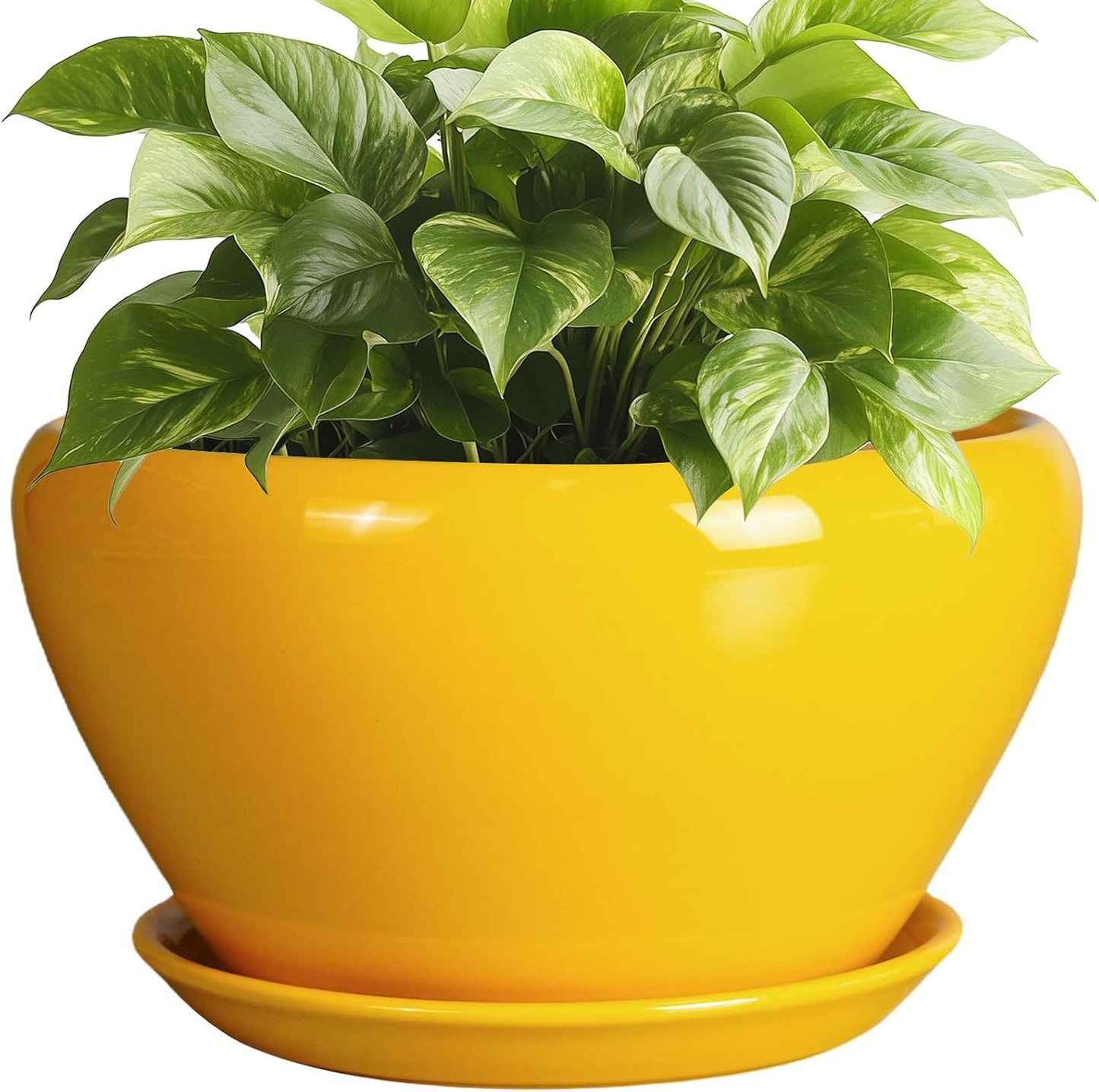 Ceramic Planter 9 Inch - Mid-Century Round Modern Plant Pot Indoor with Drainage Hole and Saucer for Outdoor Plants, Balcony House Garden Patio Home Decor, Yellow
