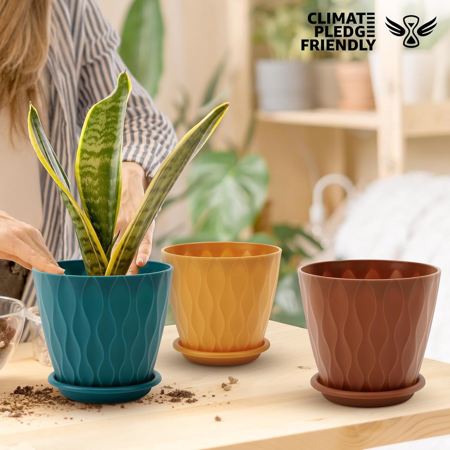6 inch Plant Pots, 5 Pack Flower Pots Outdoor Indoor, Planters with Drainage Holes and Tray Saucers（Multicolor）