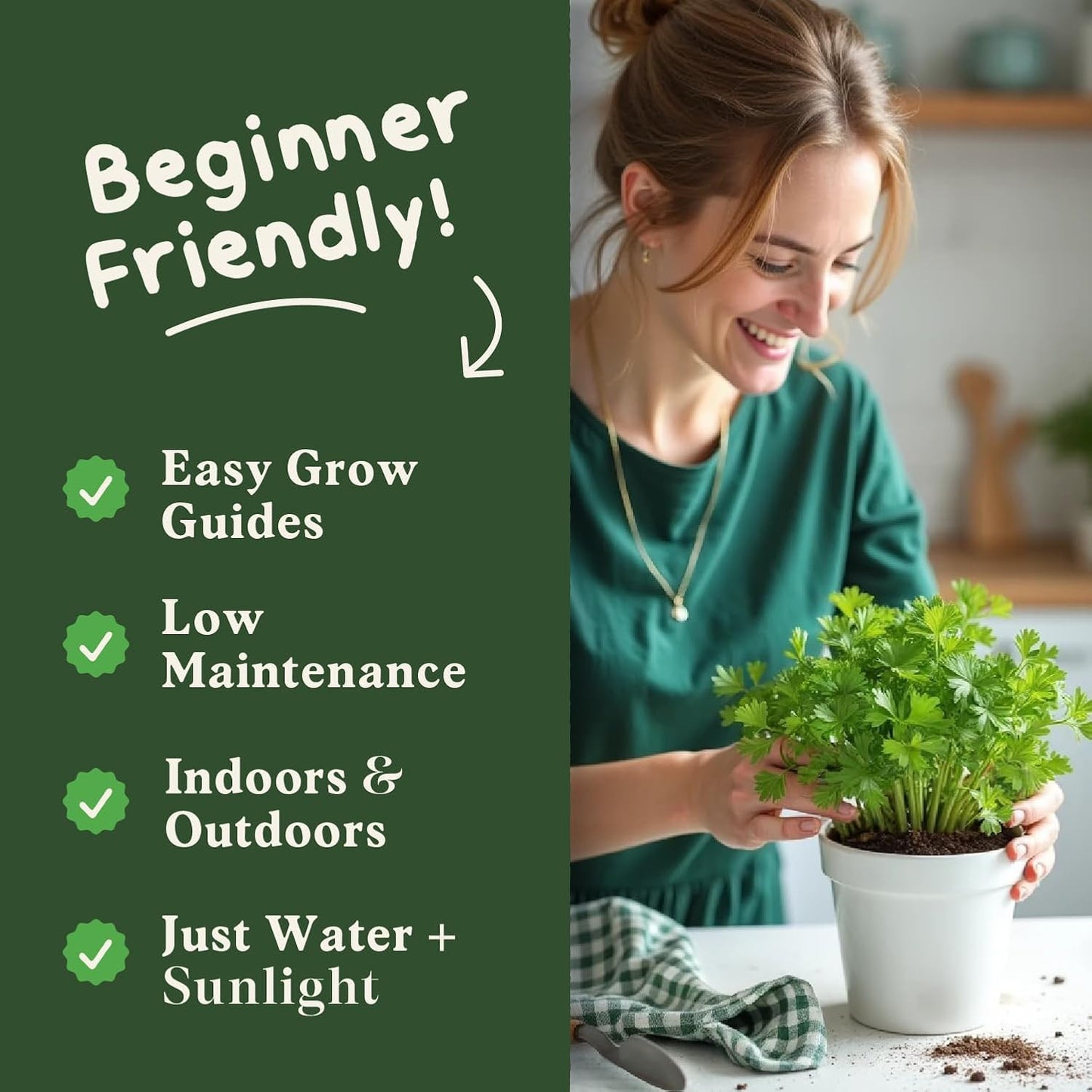 Seedboy Organic Parsley Seeds for Planting Indoor and Outdoor, Non-GMO and USDA Certified Herb Seed Packet for Hydroponic Garden Indoor or Planting Outdoors (Italian Parsley)