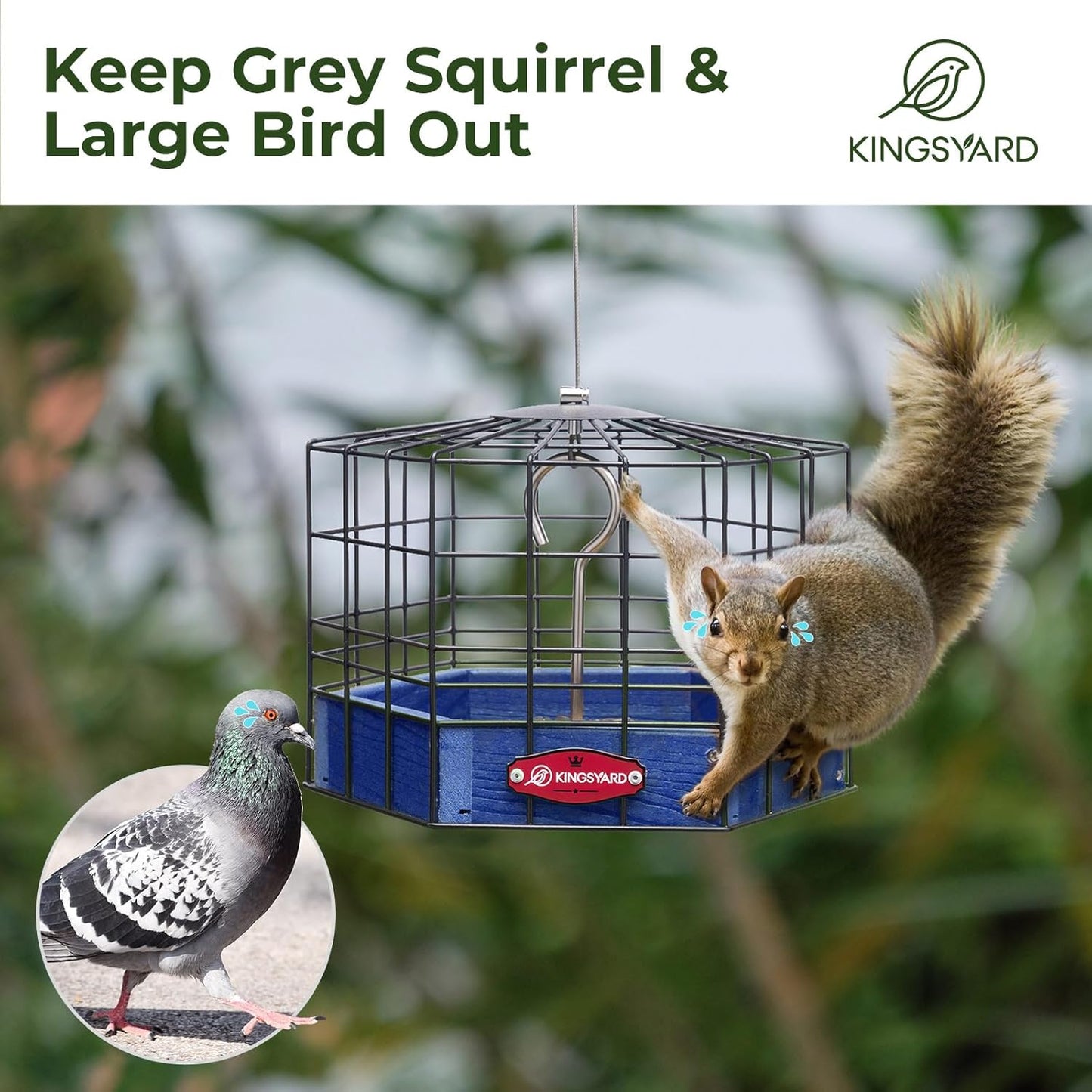 Kingsyard Squirrel Proof Platform Bird Feeder for Outdoor Hanging, Caged Bird Feeder for Bluebird Mealworm, Recycled Plastic Feeding Platform with Metal Mesh Tray, Special for Small Birds, Blue