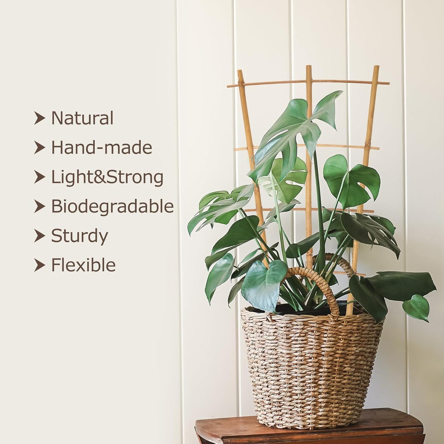 Plant Trellis Indoor 6 Pack Bamboo Trellis with Twist Ties, 16in Fan-Shaped Plant Trellises for Potted Plants Hoya Vines Monstera Houseplants