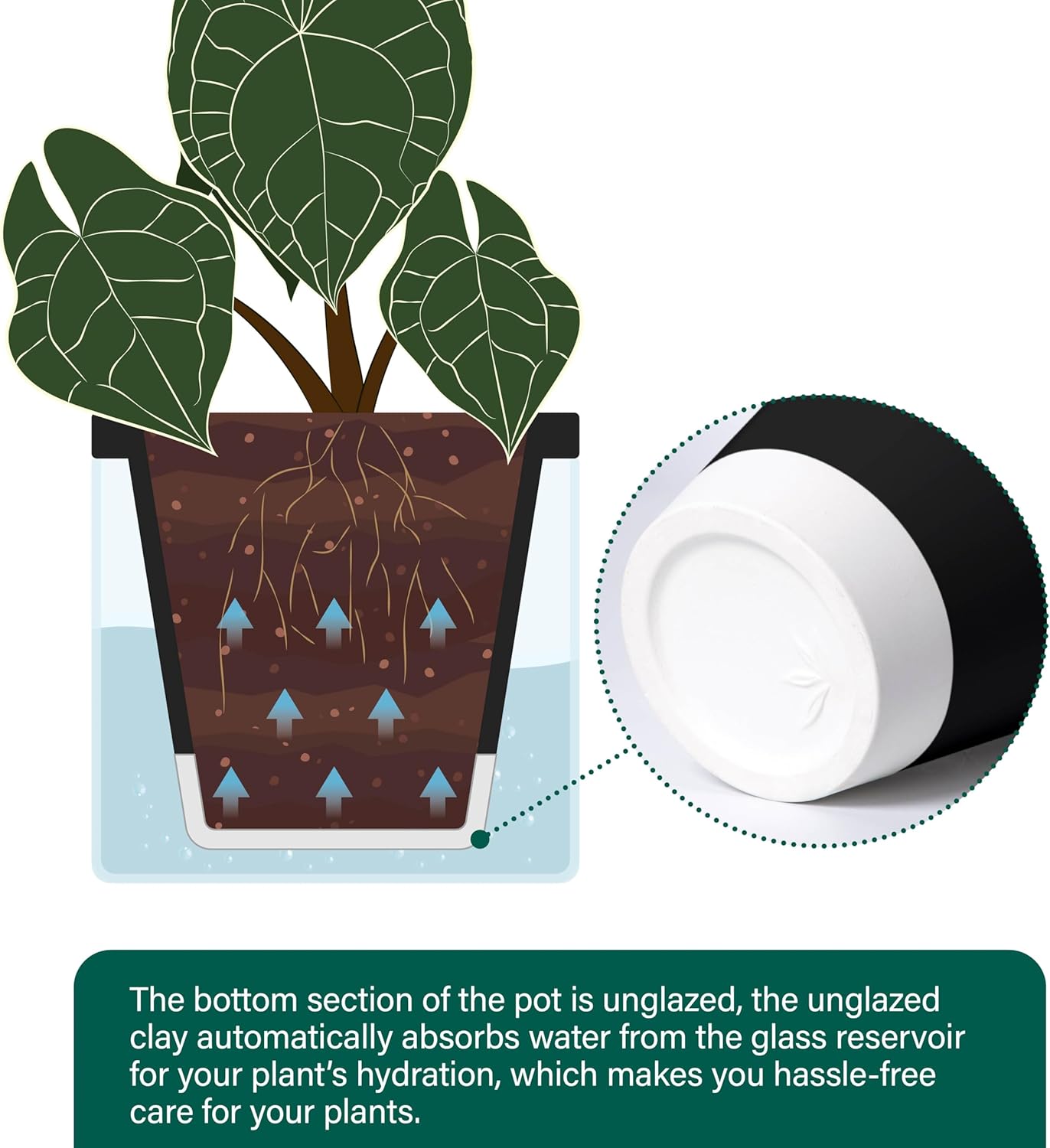 D'vine Dev 6 Inch Design Self Watering Planter for Indoor Plants, Black Terracotta Pot with Cylinder Glass Cup, 37-X-B-3