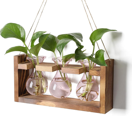 Plant Propagation Station Plant Terrarium Unique Birthday Gifts for Women Plant Lovers Home Office Decor Planter with Wooden Stand - 3 Bulb Glass Vase