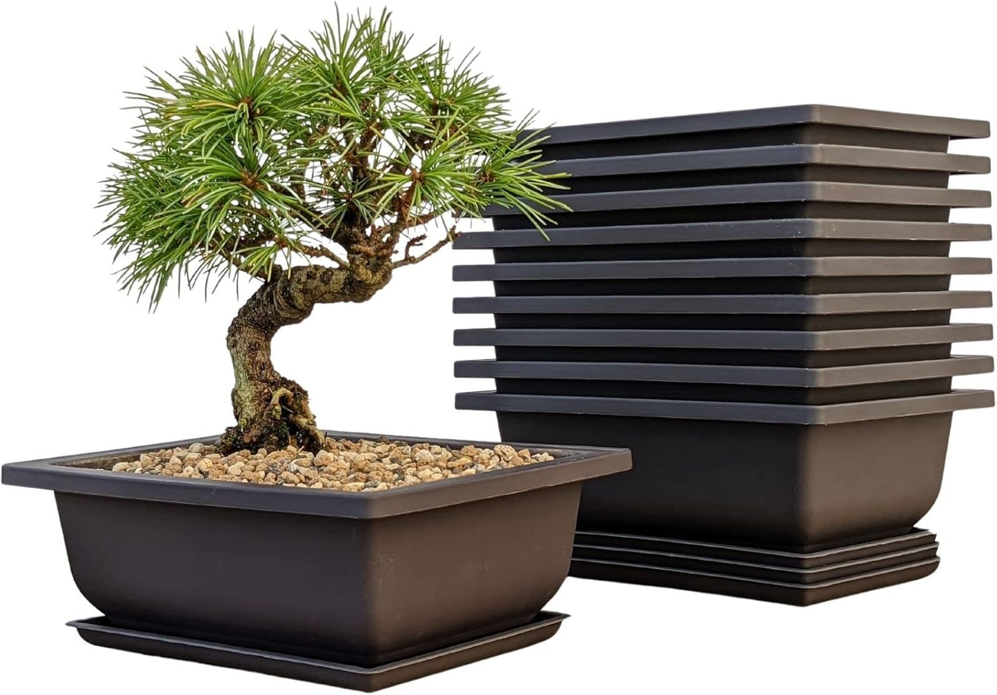 Bonsai Training Pots Humidity Trays - Built in Mesh, 6-Inch Large Planters + Made from Durable Shatter Proof Poly-Resin, 9-Pack Pot Set