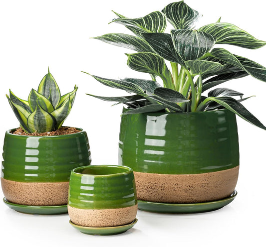 3 Piece Ceramic Small Planter for Indoor Plants - Succulent Plant Pots with Drainage Holes and Saucers - 3.4/4.7/6.1 inch Modern Decorative Small Flower Pots for Bamboo, Succulents and Herbs, Green