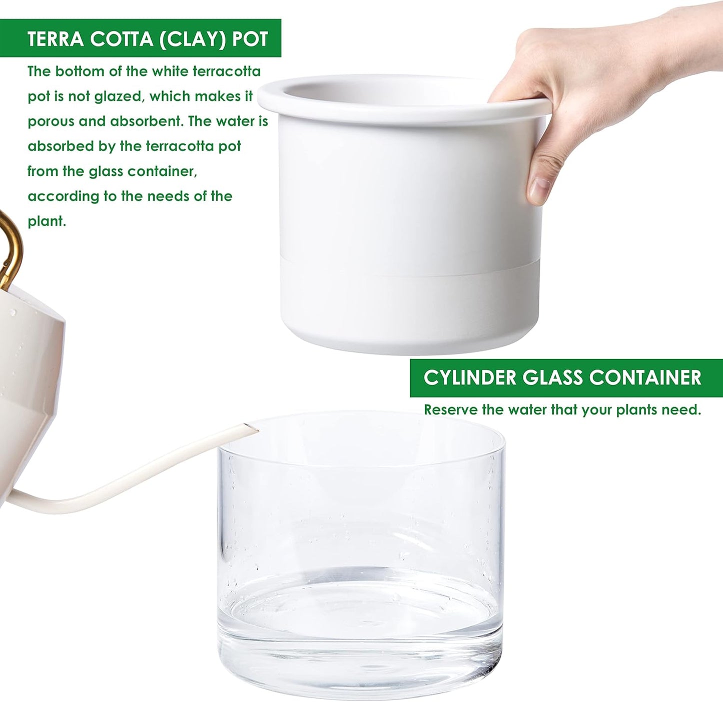 Phoenix Vine 6 Inch Self Watering Planter Pot, Design White Terracotta Pot for Plants, Indoor Cylinder Terra Cotta Pot with Glass Vase, Set of 1, 51-B-F-1