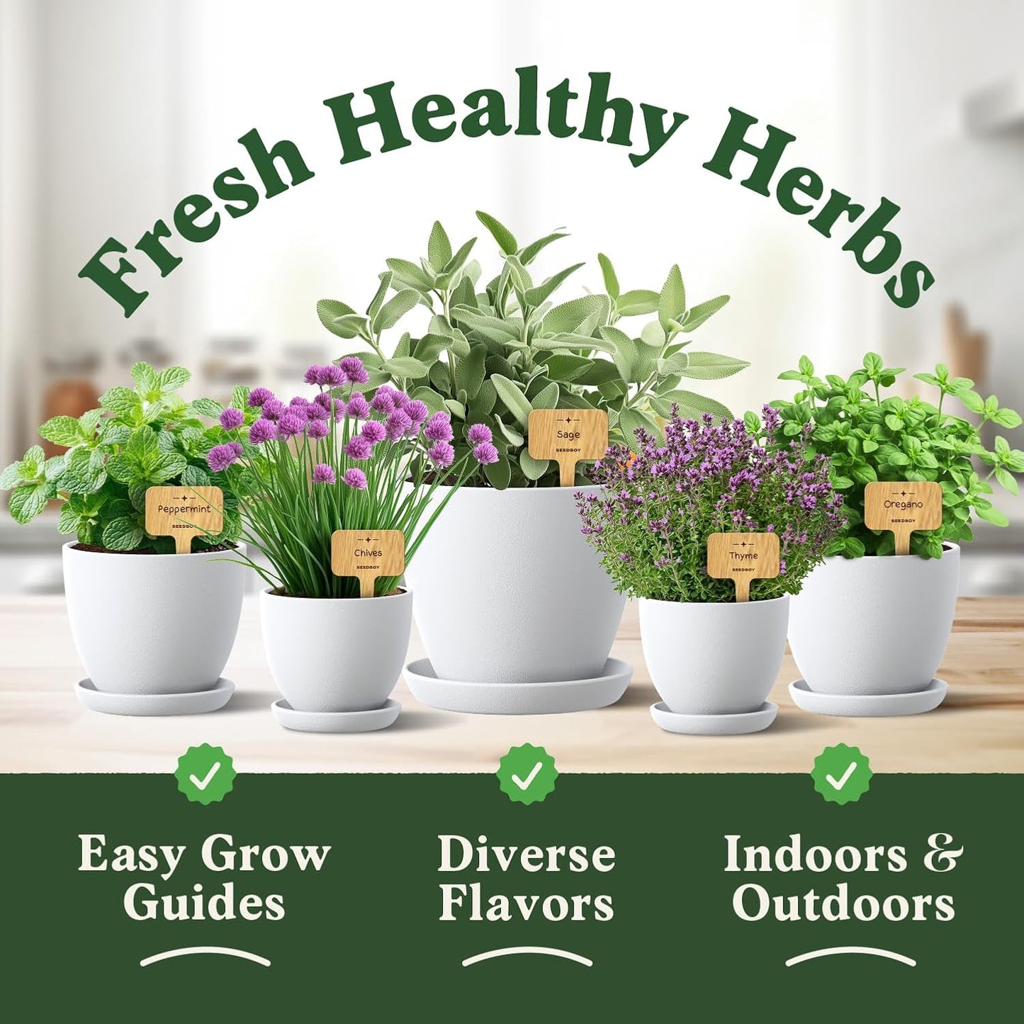 Seedboy Organic 10 Herb Variety Pack: Basil, Cilantro Mint Oregano Parsley Thyme Chives Dill Sage Rosemary for Planting Indoor and Outdoor, 5460 Non-GMO USDA Certified Seeds (10 Herb Variety Pack)