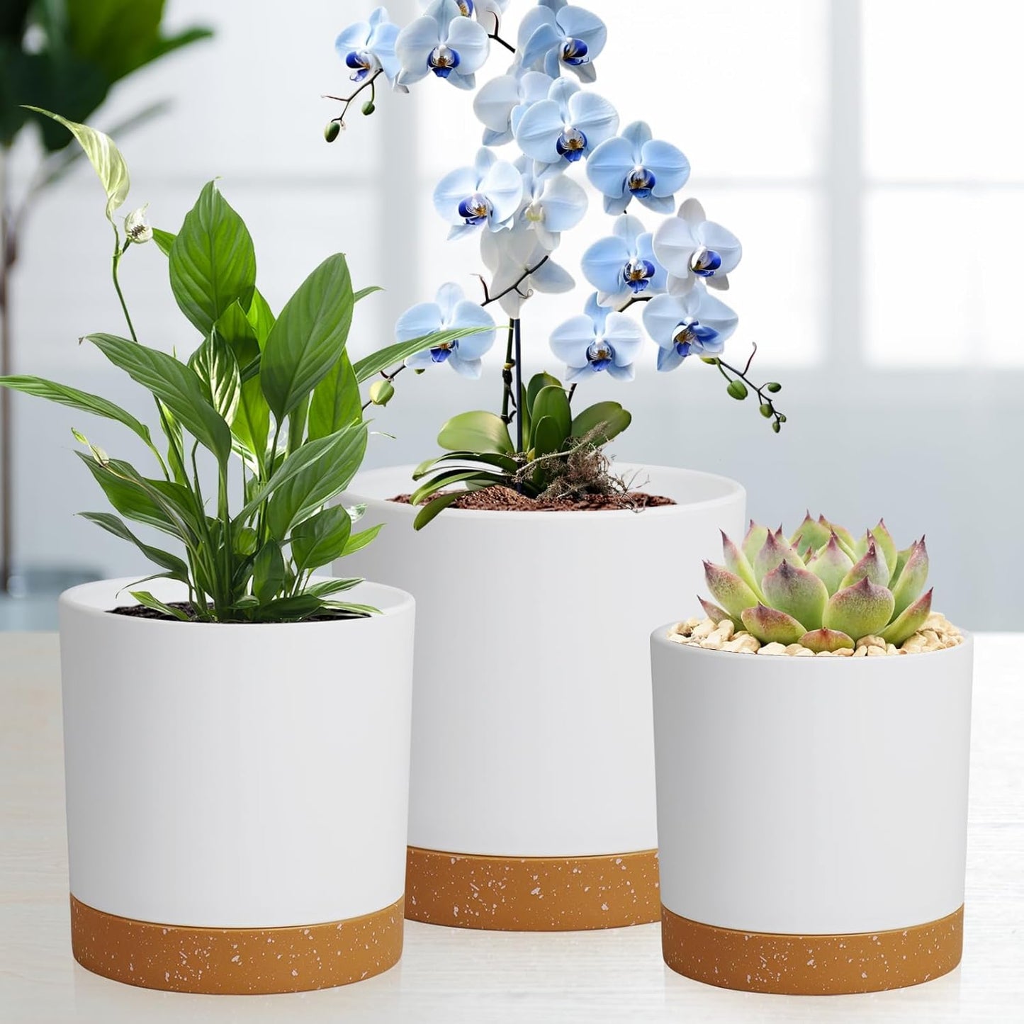 3 Pack 6/5/4 inch Cylindrical Flower Pots, Modern Small Round Plastic Plant Pots with Drainage Holes & Saucers, Clean and Refined Planter Pots for Outdoor, Indoor & Office Decor (White Brown)