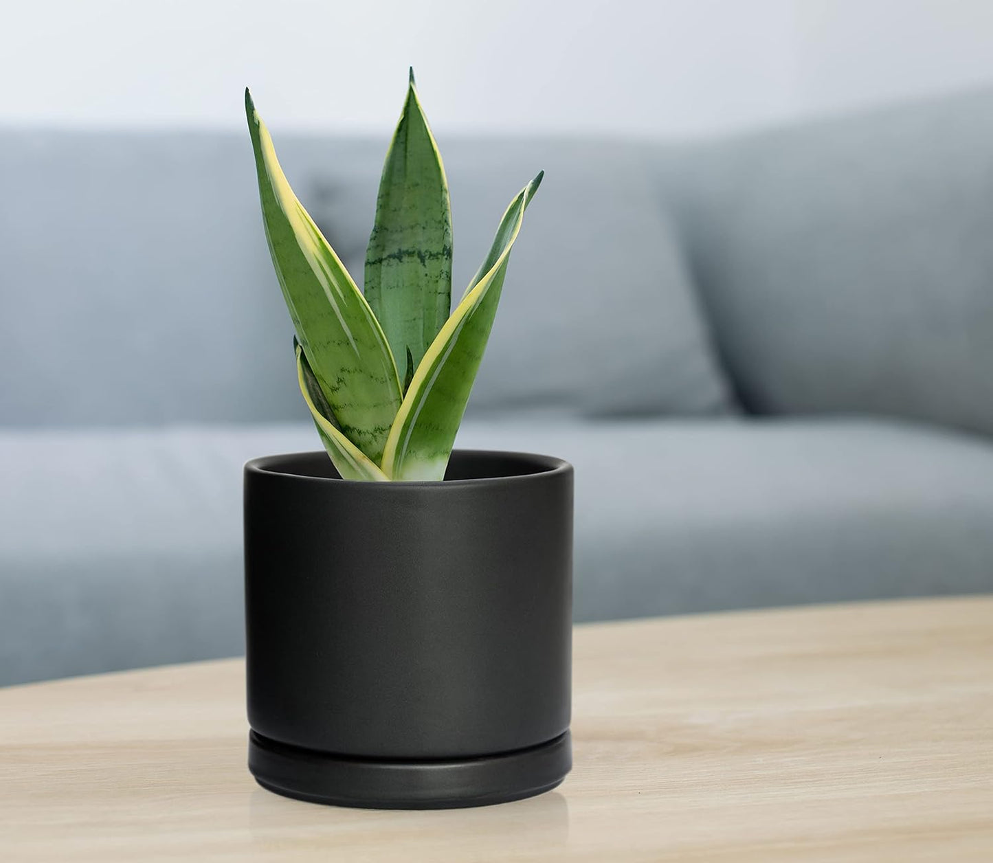 D'vine Dev Set of 2 Plants Pot, 4.6 Inch Ceramic Planter Pot for Plants with Drainage Hole and Saucer, Black, 94-V-B-2