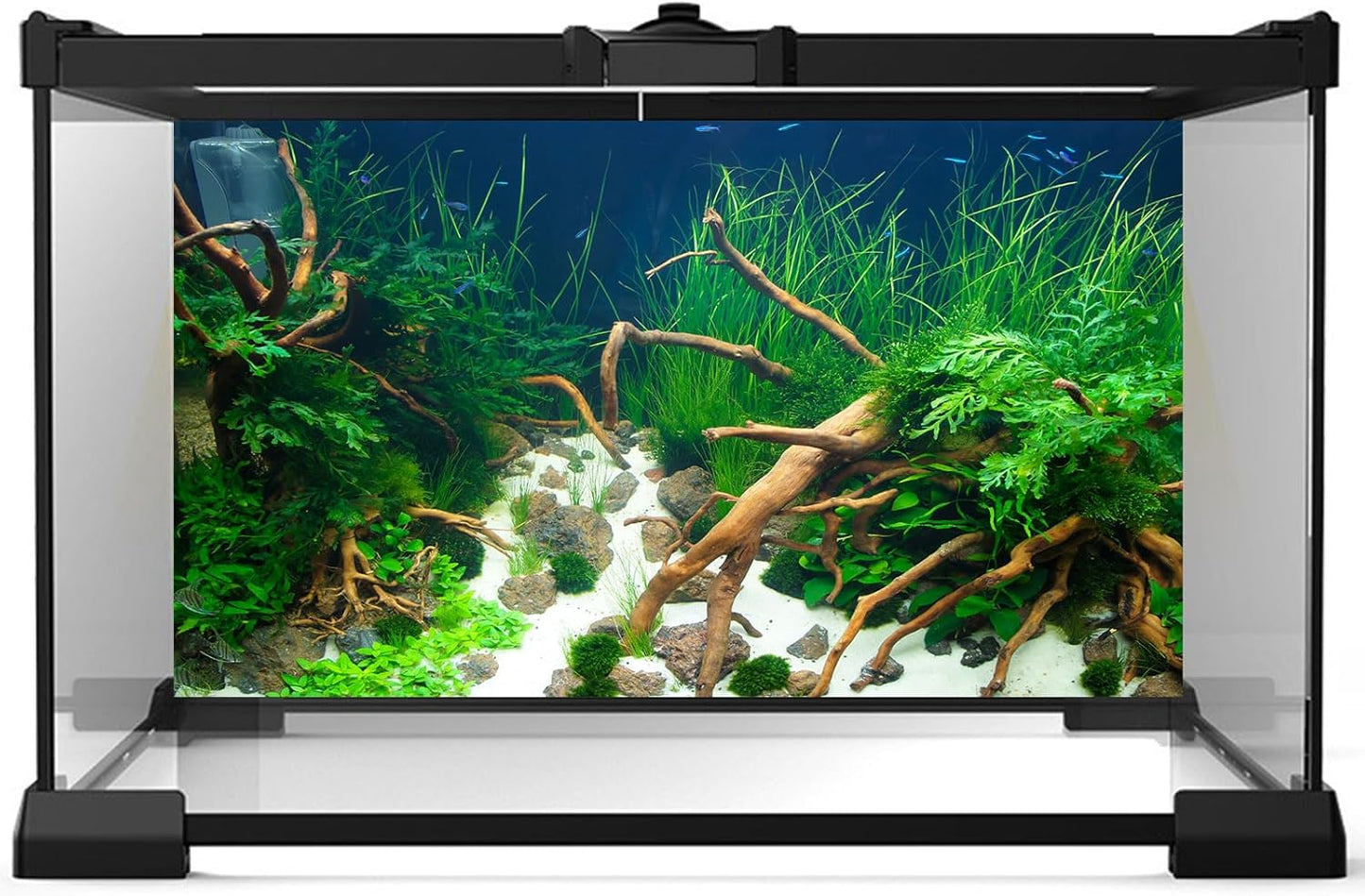 Aquarium Background Various Underwater Grass Plants Aquarium Backdrop Vivid and Fresh Green Aquatic Plants Stone River Bed and Dead Wood Yellow Stone Fish Tank Background 36x18in