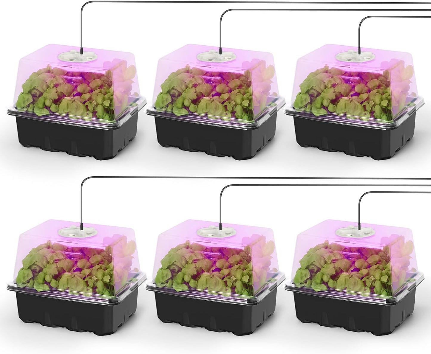 MIXC Seed Starter Kit with Grow Light, Elevated Seedling Tray Kit with Adjustable Humidity Dome and Clear Cell Tray, 12 Full Spectrum Led Beads for Seed Starting Greenhouse, 6 Pack, Black