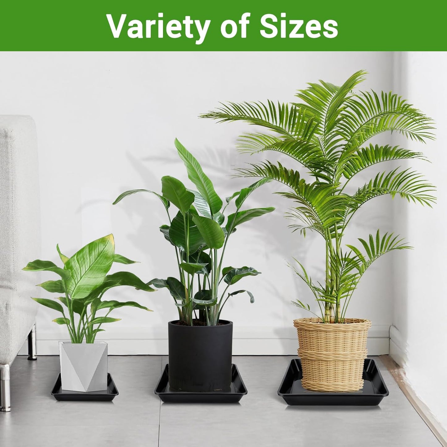 GREANER 6 Packs Square Plant Saucer, Plant Water Dray Tray, Durable Thick Plant Pot Dish for Flower Pot, Plastic Plant Tray to Catch Water for Indoor Outdoor(10 Inch, Black)