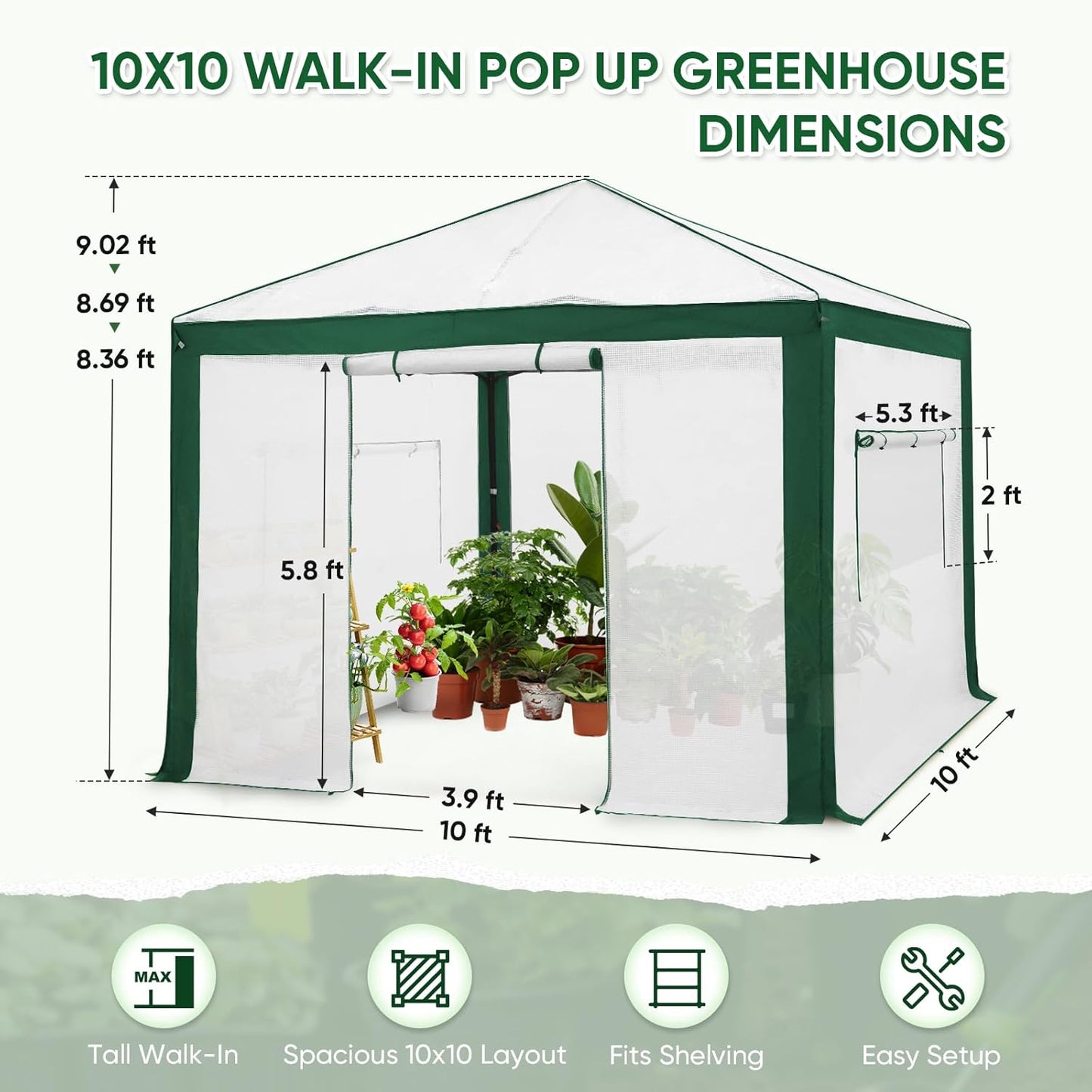EAGLE PEAK 10x10 Portable Walk in Greenhouse with Polyester Reinforced Corners, Instant Pop up Indoor Outdoor Gardening Green House, Roll Up Zipper Entry Doors and Mesh Windows, Green/White