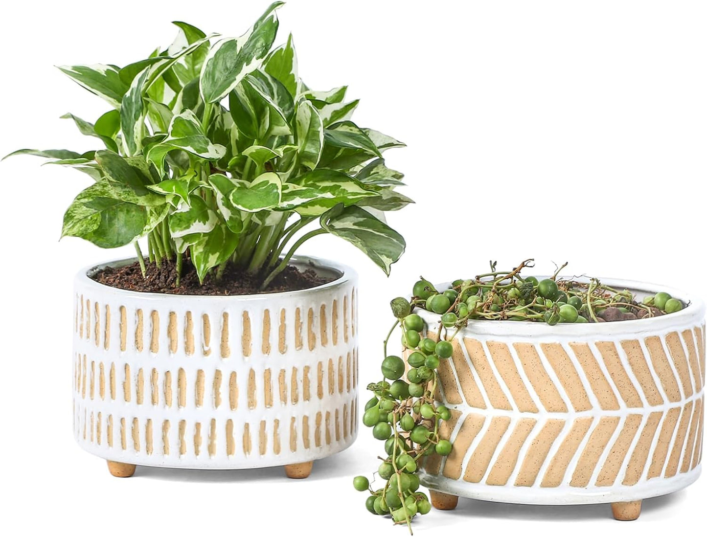 Succulent Pots, 6 Inch Pot for Indoor Plants, Footed Pots for Plants with Drainage, Succulents or Small Plant Indoor Plant Pots, Set of 2