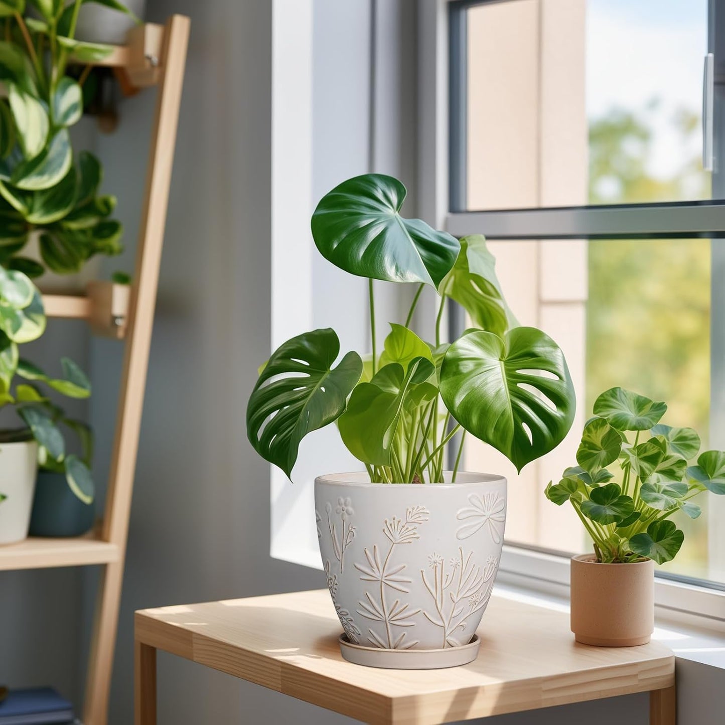 6.9 Inch Ceramic Plant Pot for Indoor Plants Outdoor Round Planter Flower Pot with Drainage Hole and Saucer for Home Garden Office Decor White