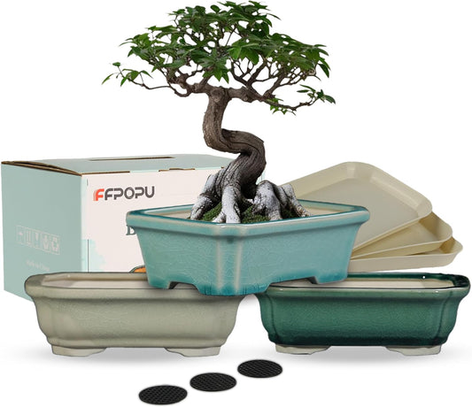 FFPOPU 3-Packs Ceramic Bonsai Pots with Drainage Tray, 6-inch Cute Bonsai Tree Pot with Ice Cracked Glaze, Small Bonsai Planter Pot for Desktop Decoration