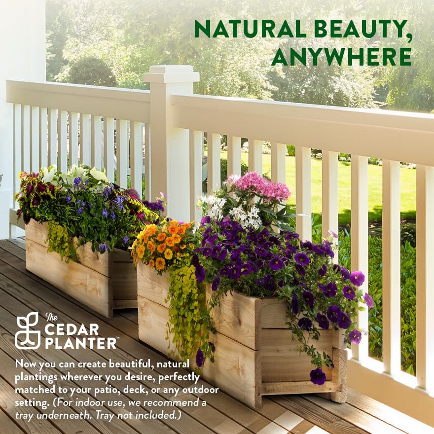 Greenes Fence Cedar Wood Planter Box, 32" x 11" x 10" - Made in USA with North American Cedar