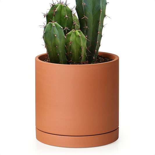 D'vine Dev Small 6 Inch Terracotta Plant Pot with Drainage Hole and Saucer, Round Cylinder Planter Pot for Indoor Plants, 40-X-A-3