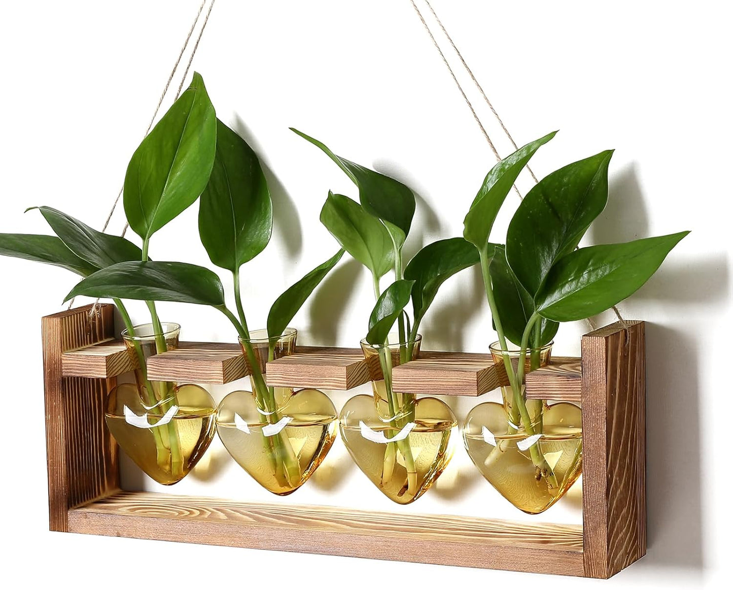 Plant Propagation Stations Heart Plant Terrarium Kit Gift for Women Plant Lover Glass Vases