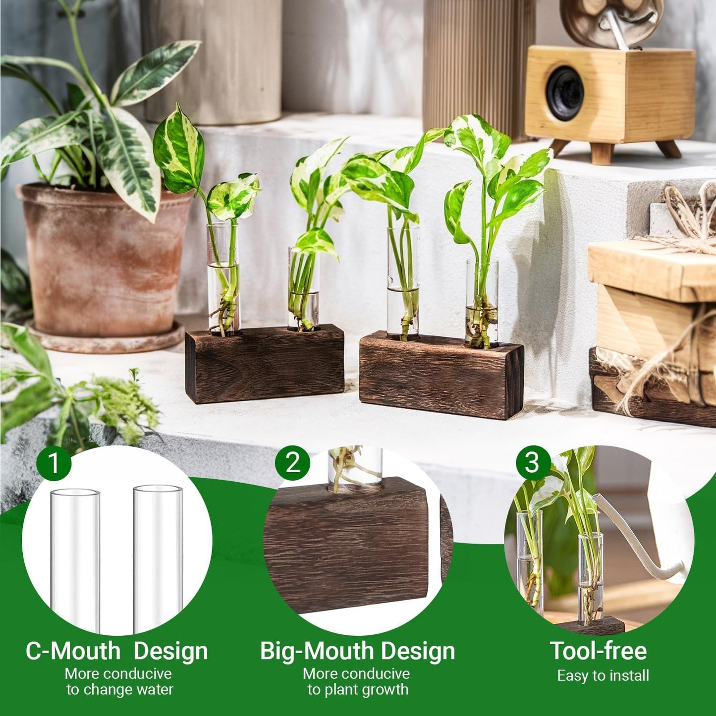 Ivolador Plant Propagation Stations 4 Test Tube Plants Terrariums in Wooden Stand Gifts for Plant Lovers for Hydroponic Plants Office Home Decor Hydroponic Vase Gift Box 2 Sets
