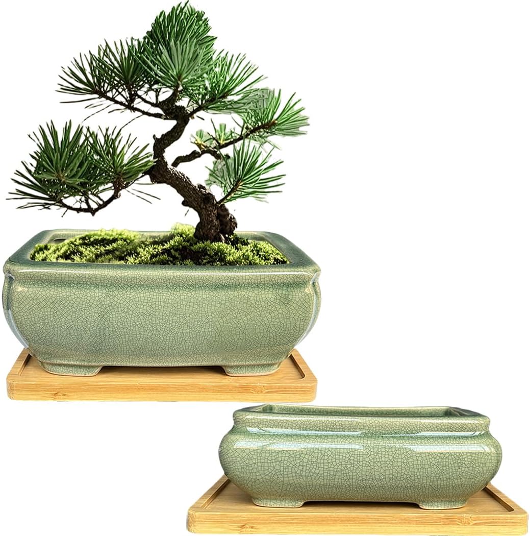 MUZHI 2pcs Green Ceramic Bonsai Planter Pots with Bamboo Tray 6.2 “ & 5.3”, Rectangular Glazed Bonsai & Succulent Cactus Starter Pot with Drainage Ice Crack Design
