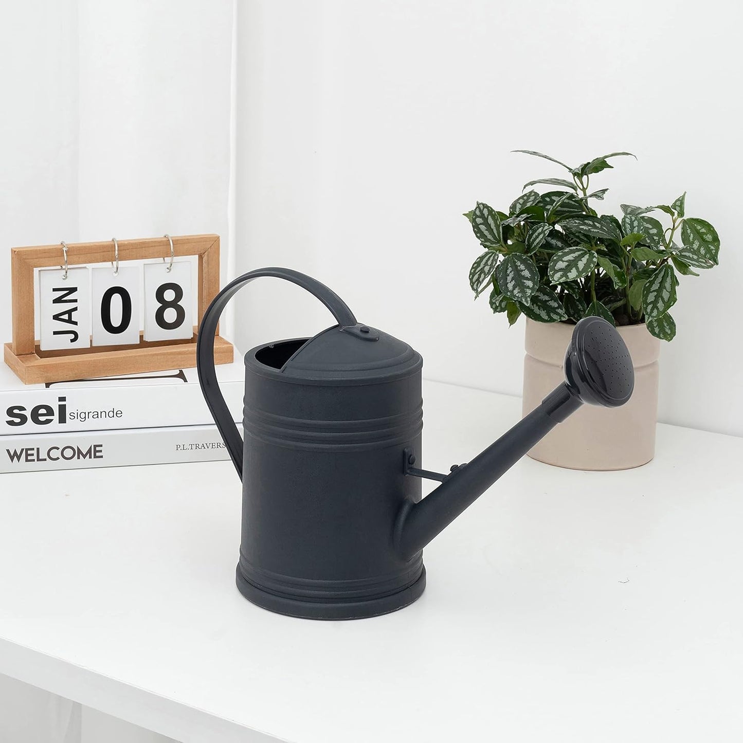 Plastic Indoor Watering Can with Sprinkler Head - 68 oz, 1/2 Gallon