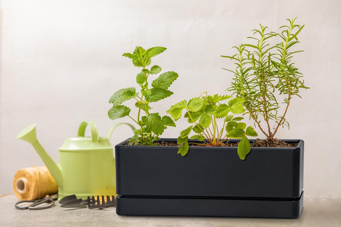 D'vine Dev 12 Inch Window Box Planter, Rectangle Plastic Herb Planter with Drainage Holes and Saucer, Indoor Succulent Cactus Vegetable Pot for Windowsill, Garden Balcony, Black, Set of 1, 76-X-B-1