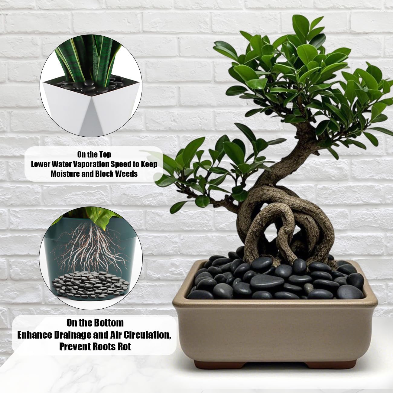 River Rocks 5 Lb, Pebbles for Indoor Plants 0.5"-1.4", Black Rocks for Outdoor Landscaping, Decorative Stones Vase Filler, Fish Tank, Fountain, Succulents, Flower Bed, Black