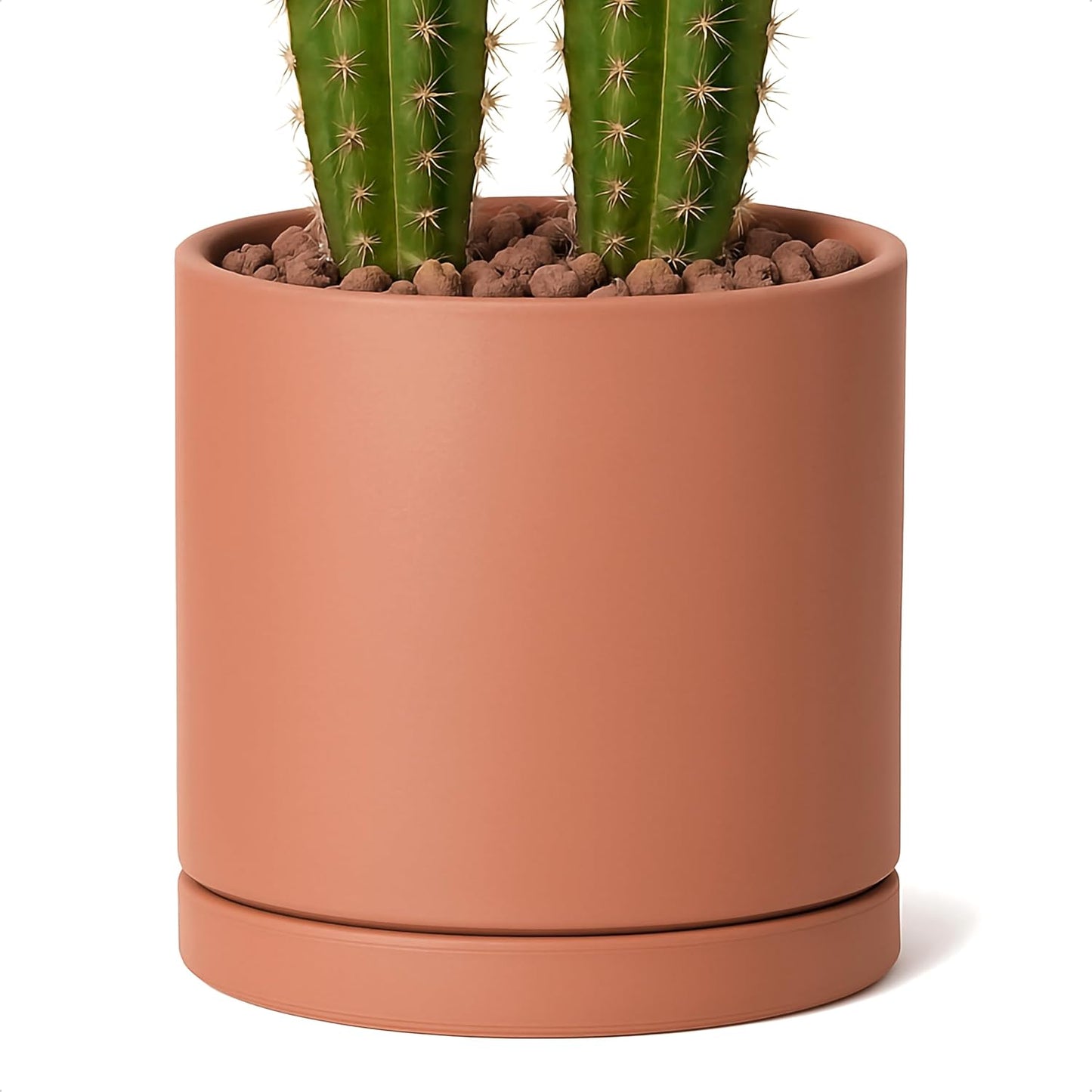 D'vine Dev Large 10 Inch Terracotta Plant Pot with Drainage Hole and Saucer, Round Cylinder Planter Pot for Indoor Plants, 40-X-A-5