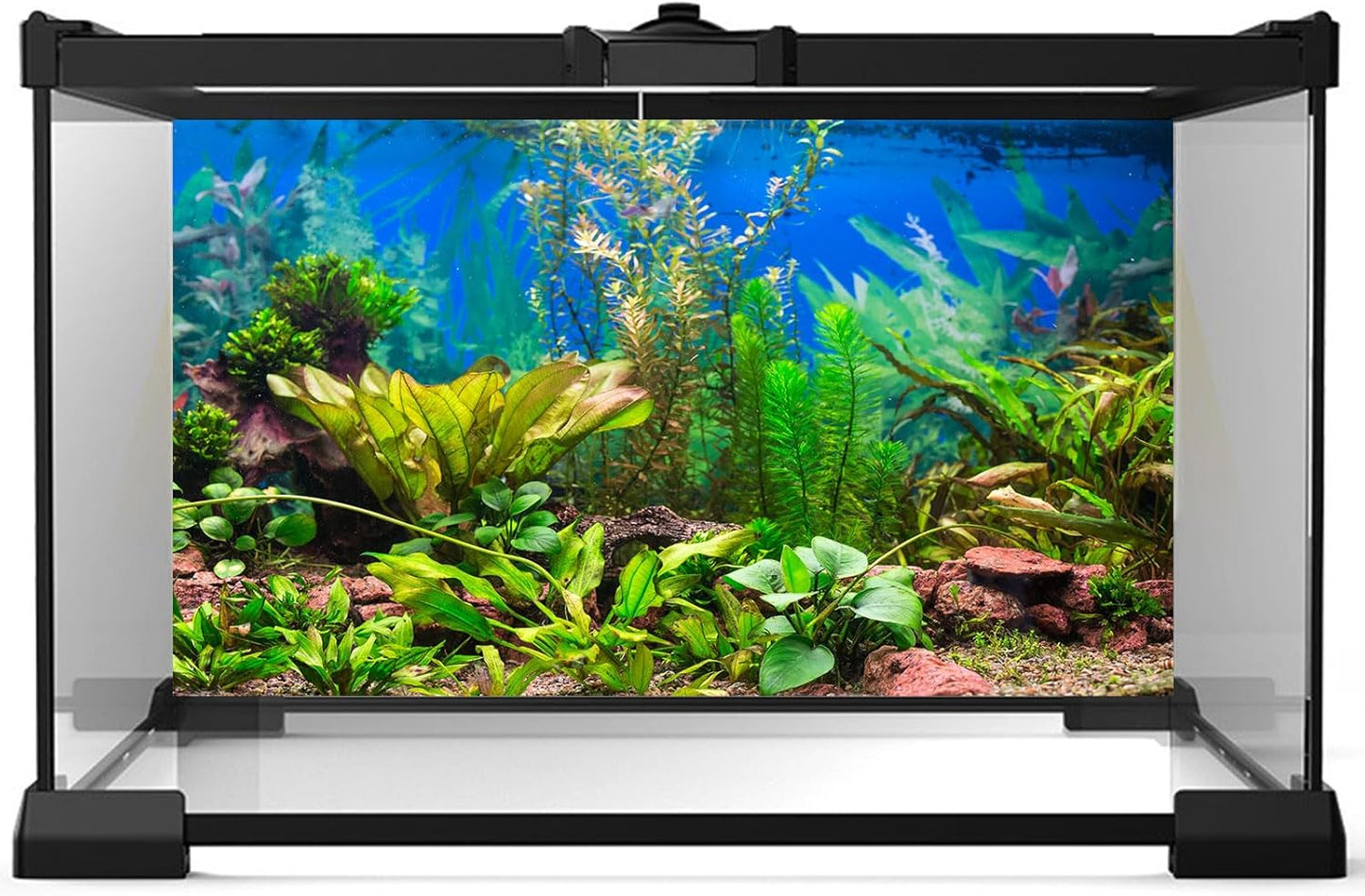 Aquarium Background Various Underwater Grass Plants Aquarium Backdrop Vivid and Fresh Green Aquatic Plants Stone River Bed and Dead Wood Purple Stone Fish Tank Background 60x24in