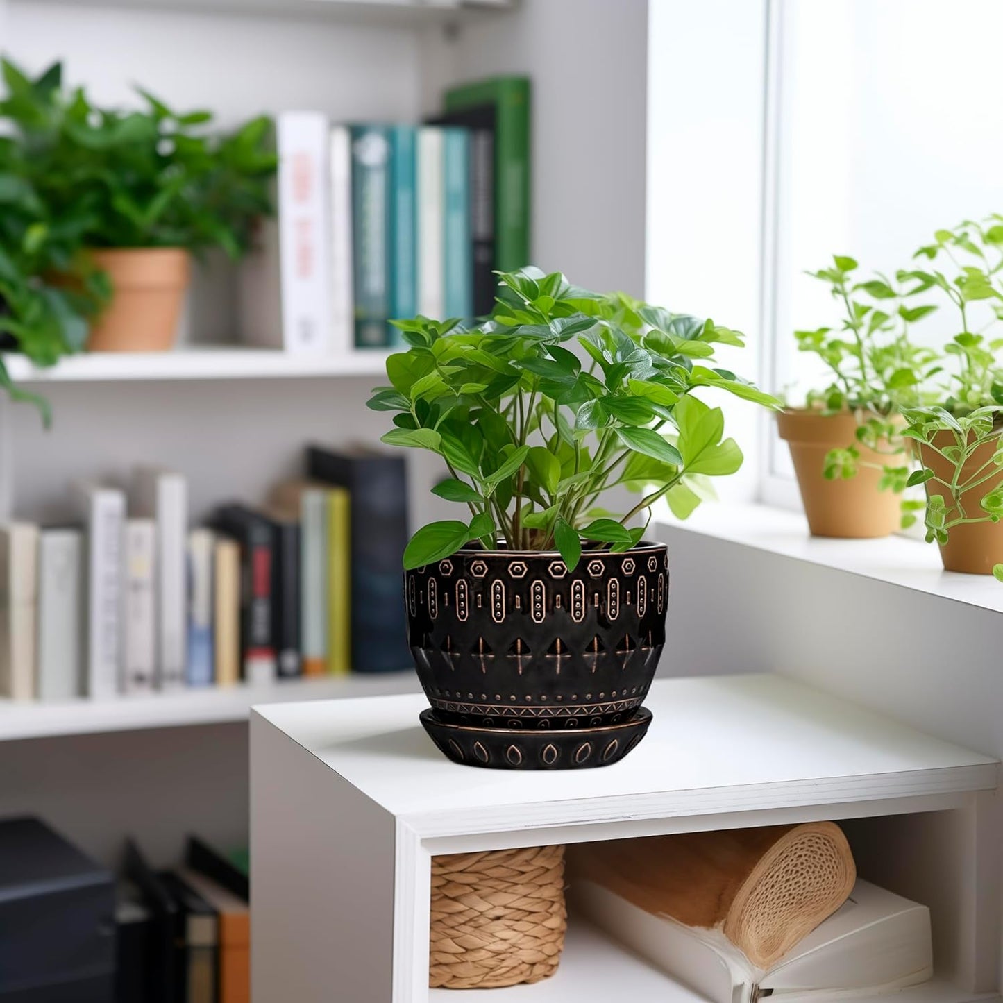 G EPGardening Ceramic Pot for Plants 5.5 Inch - Ceramic Plant Pot Indoor with Drainage Hole and Saucer, Round Boho Planter for Indoor Plants Outdoor, Housewarming Gifts, Garden Office Decor, Black