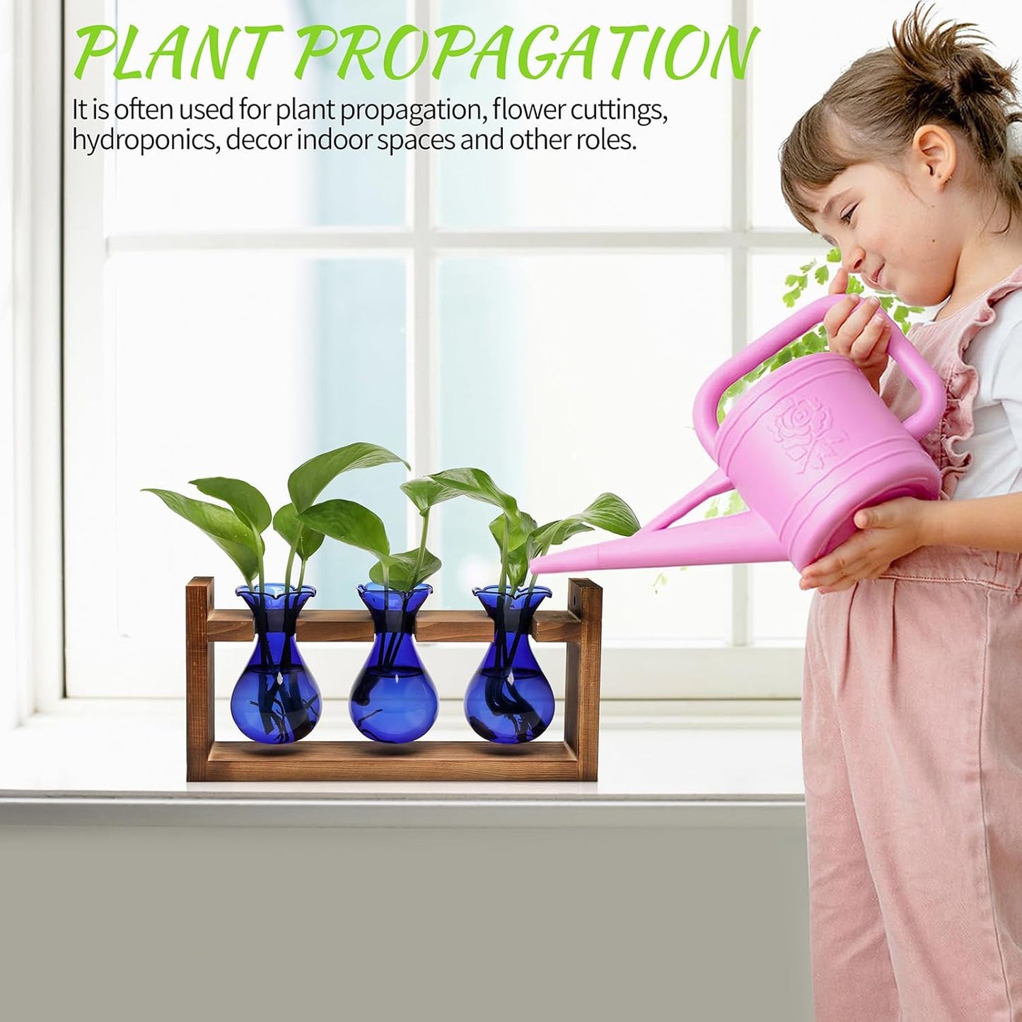 Plant Propagation Station Plant Terrarium Unique Birthday Gifts for Women Plant Lovers Home Office Decor Planter with Wooden Stand - 3 Bulb Glass Vase