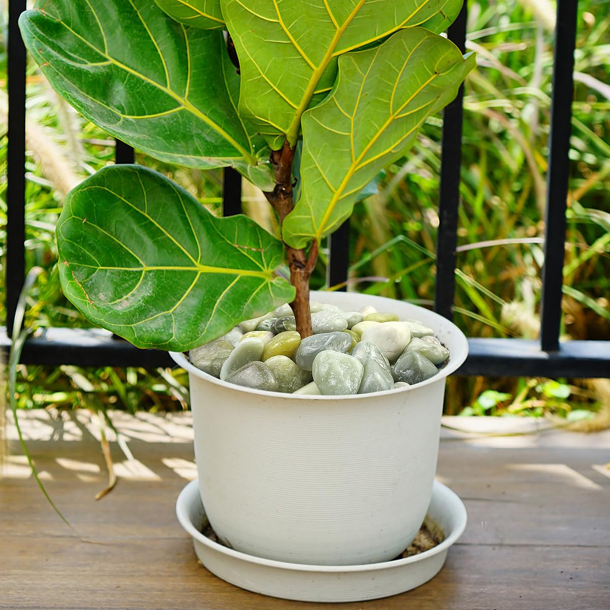 10lbs Jade River Rocks, 2-3 Inch Natural Pebbles for Indoor Plants, High Polished Decorative Stones Vase Filler Fish Tank Aquariums Landscaping Garden Outdoor and Indoor DIY