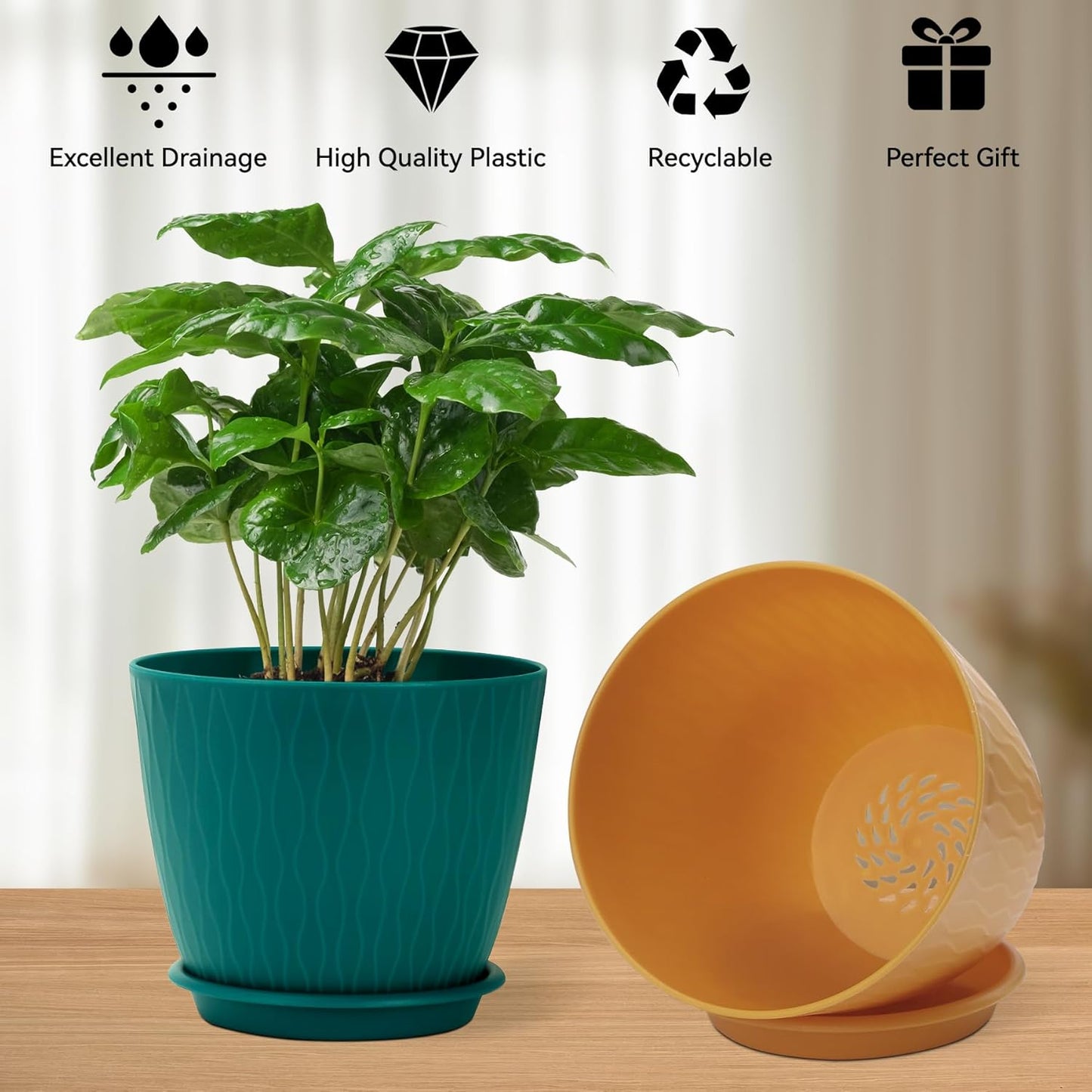 Plant Pots – 6 Inch Planters with Drainage Holes and Saucers, Flower Pots for Indoor and Outdoor Plants, Nursery Planting Pots (Pack of 5, Multicolor)