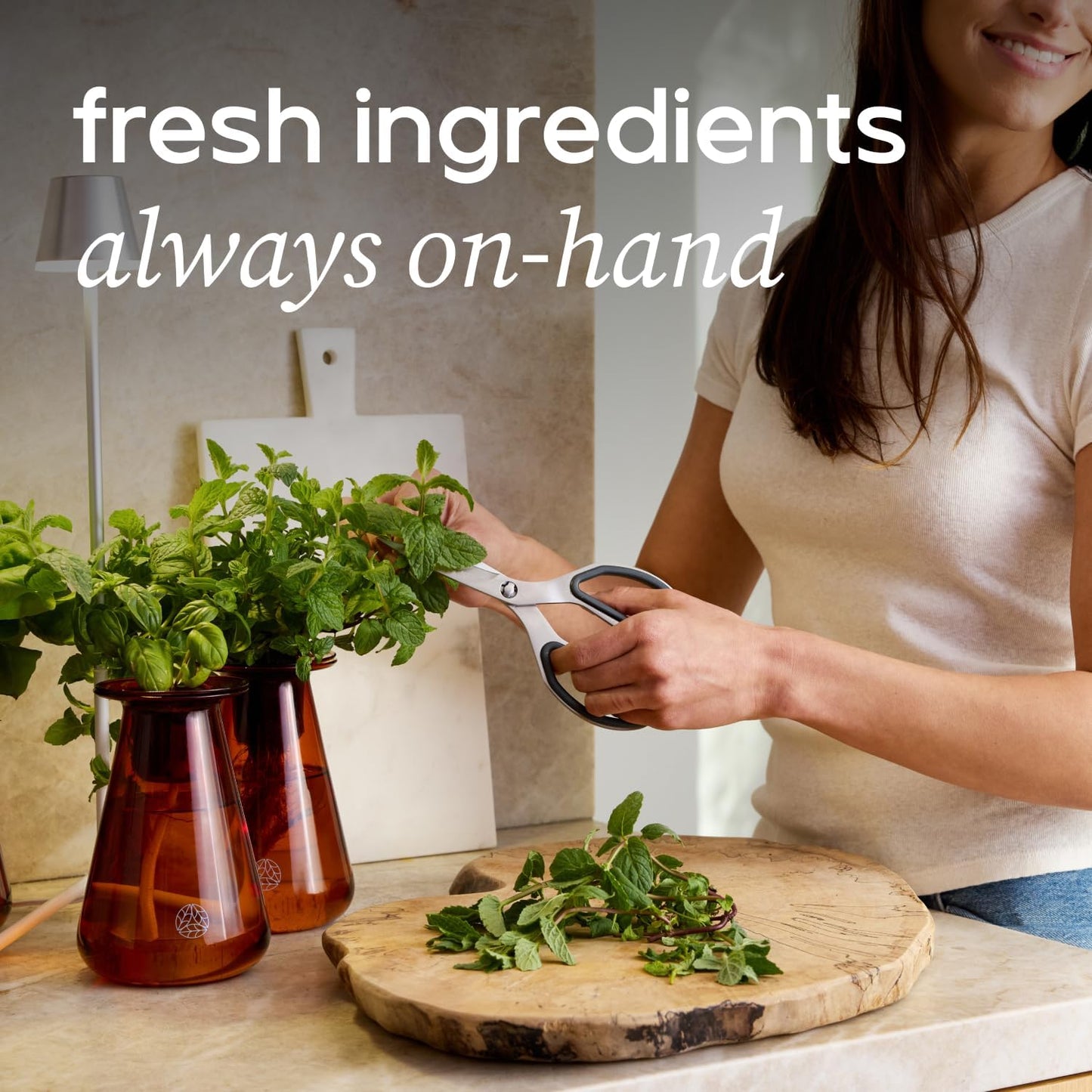 Counterstand Set – Vase Plant for Indoor Edible Garden Kit for Herbs & Lettuce – Small-Space Hydroponic System – Home Decor & Gifting – Without Live Plants