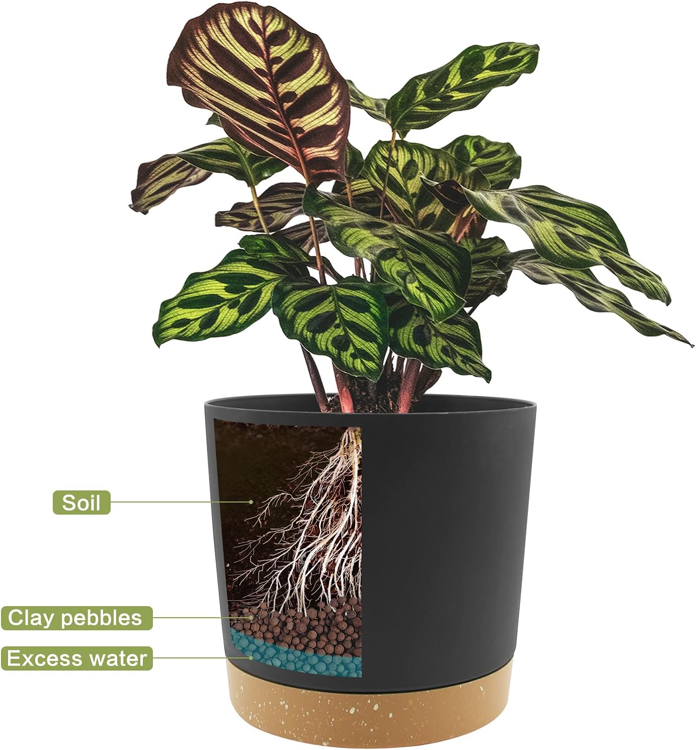 QCQHDU 10 inch Plant Pot, 2 Pack Planters for Indoor Plants with Drainage Holes & Saucer, Outdoor Flower Pots Home Garden Modern Decor