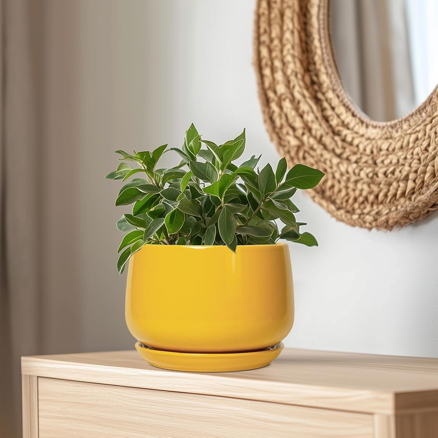 G EPGardening Ceramic Flower Pot - 9 Inch Plant Pots for Indoor Outdoor Plants, Round Ceramic Planter with Drainage and Plant Saucer, Modern Planter, Home Office Decor, Garden Gifts, Yellow